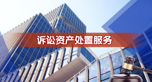 訴訟資産處置服務