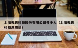 上海天玑科技股份有限公司多少人（上海天玑科技总市值）