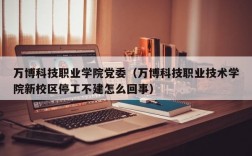 万博科技职业学院党委（万博科技职业技术学院新校区停工不建怎么回事）