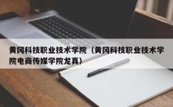 黄冈科技职业技术学院（黄冈科技职业技术学院电商传媒学院龙真）