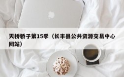 天桥骄子第15季（长丰县公共资源交易中心网站）